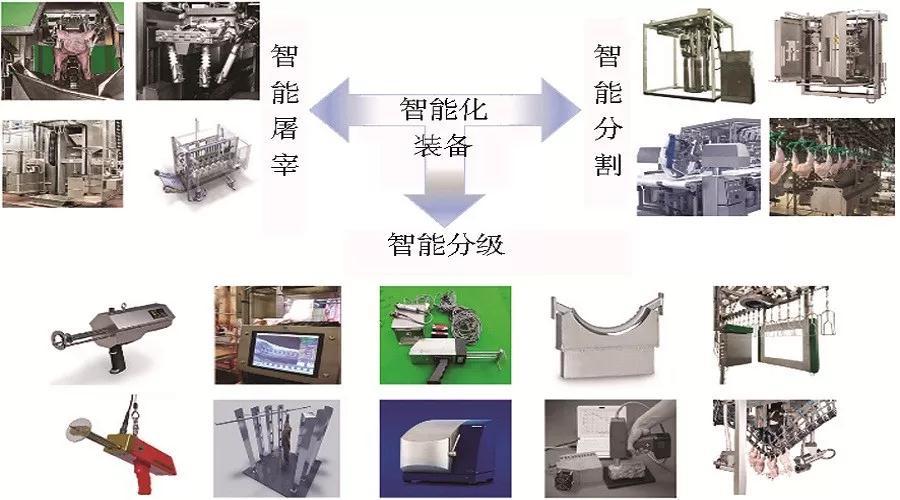 本文综述了当前智能化装备在畜禽屠宰,分割和分级等加工过程中的研发